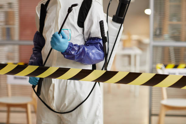 Professional Hoarding Cleanup technician working in Long Beach, IN